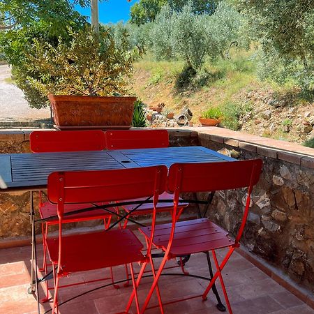 Agriturismo Schiaccia Ghiande マッサ・マリッティマ エクステリア 写真