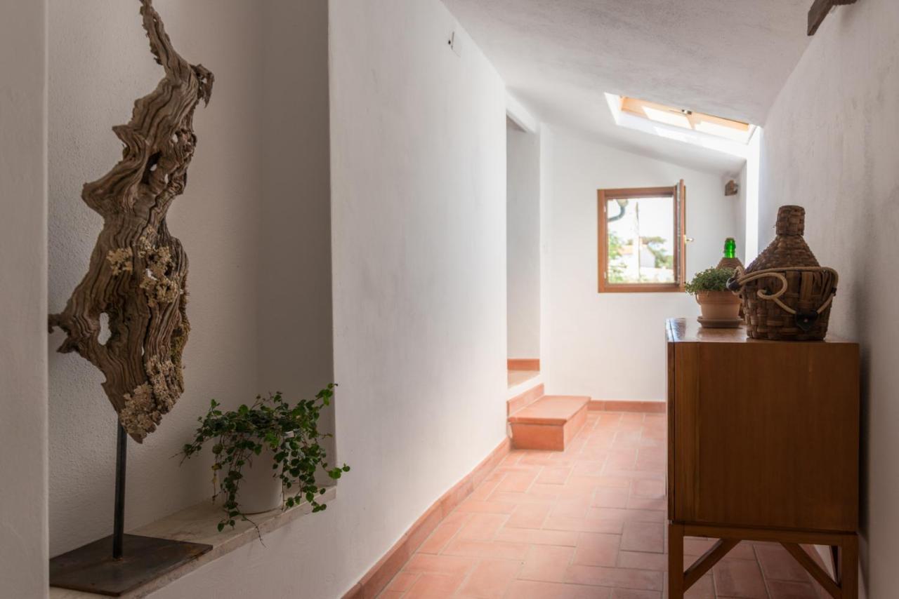 Agriturismo Schiaccia Ghiande マッサ・マリッティマ エクステリア 写真